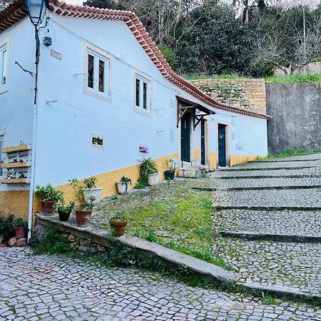 Pe Do Castelo Casinha - Pet Friendly & Garage Villa Tomar Buitenkant foto