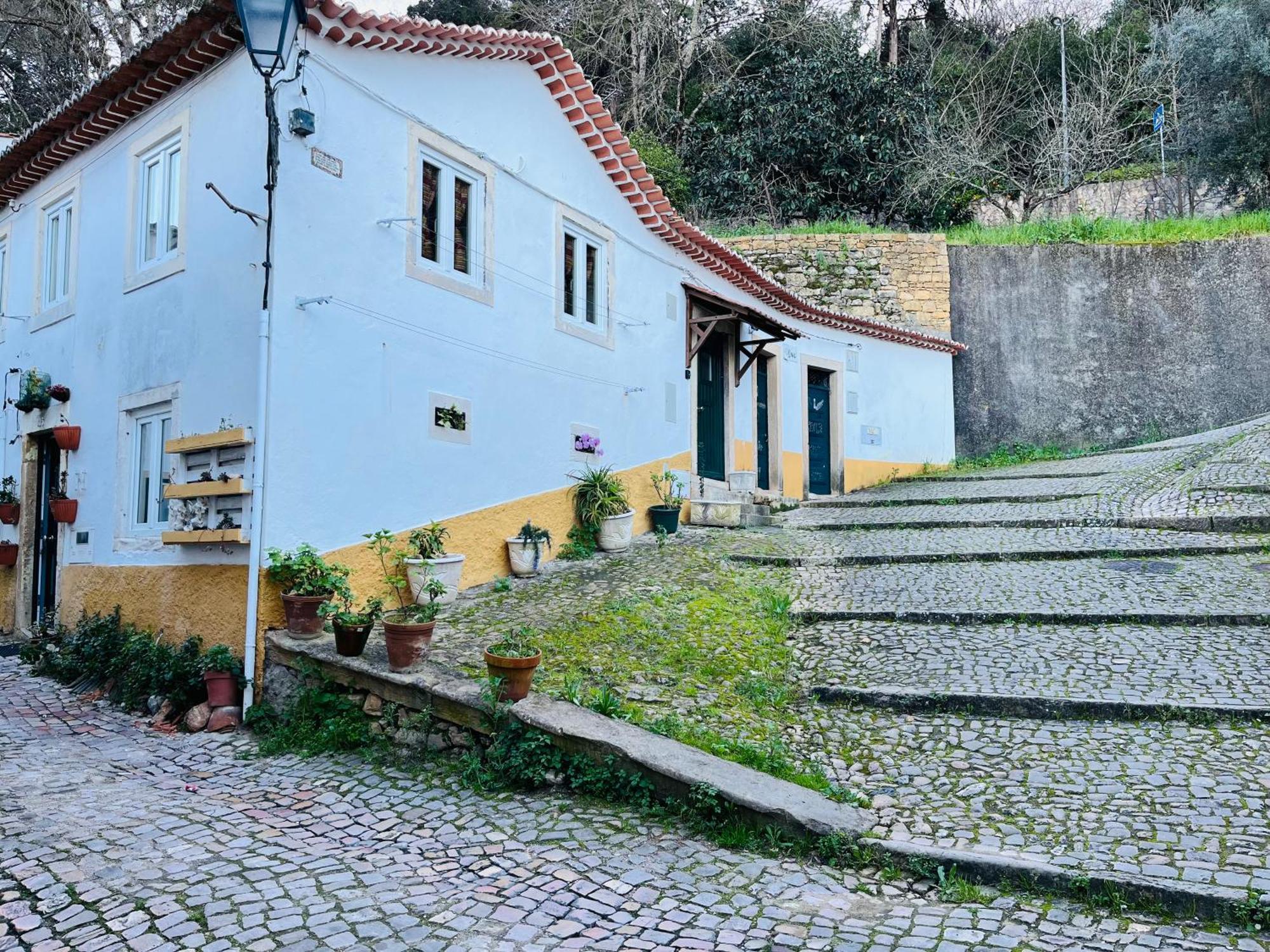 Pe Do Castelo Casinha - Pet Friendly & Garage Villa Tomar Buitenkant foto